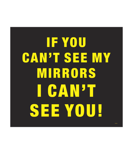 SSG259 - IF YOU CAN'T SEE MY MIRRORS